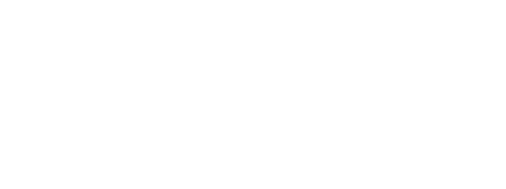 Risser Online Media